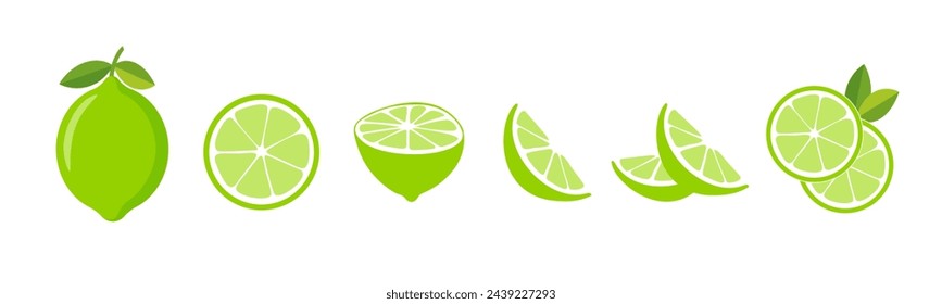 Citrus lime slices set. Vector EPS 10