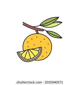 Citrus сolor line icon. Essential oils fruit seeds. Pictogram for web page, mobile app, promo. UI UX GUI design element. Editable stroke.