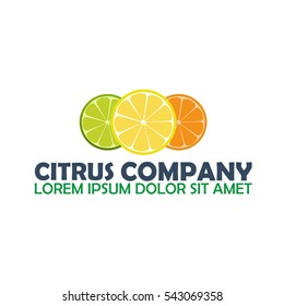 Citrus Logo Company. Lemon. Vector Logo Illustration