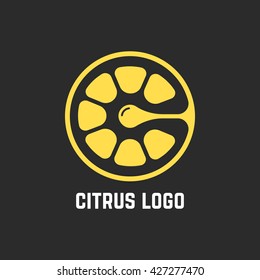citrus logo like piece of lemon. concept of vitamin c, mandarin cut, citric cocktail, tangerine, citron tea, grapefruit. flat style trend modern brand design vector illustration on white background