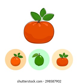 Citrus Mandarin  on White Background , Set of Three Round Colorful Icons Orange, Lime and Mandarin , Vector Illustration