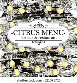 Citrus menu for bar and restaurant.Hand drawn vector illustration.