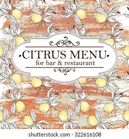 Citrus menu for bar and restaurant.Hand drawn vector illustration.