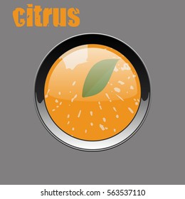 Citrus in a metal round button