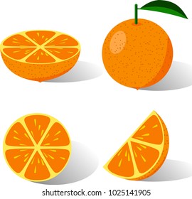 citrus objects isolated on white background vector illustration 