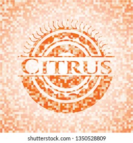 Citrus orange mosaic emblem with background