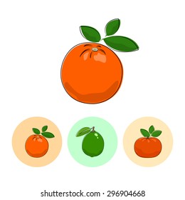 Citrus Orange  on White Background , Set of Three Round Colorful Icons Orange, Lime and Mandarin , Vector Illustration