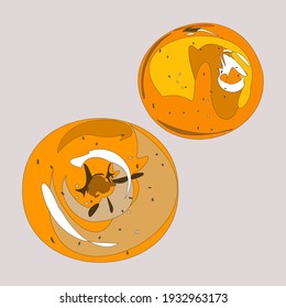 Citrus. Naranjas, limones, pomelo. Fruta. Veganismo, vegetarianismo, dieta de alimentos crudos, nutrición adecuada. Objetos aislados del vector.