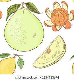 Citrus pattern. Fruit texture. Tropical juicy fruits. 
