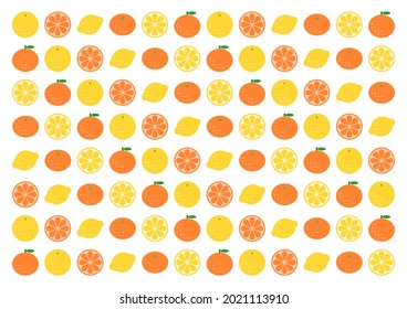 Citrus pattern. Mandarin, tangerine, orange, lemon, grapefruit. Colorful design. Vector illustration. 