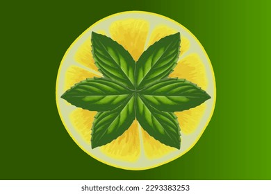 Citrus pattern, slices of lemon with fresh mint leaves. Fresh organic tropical fruit background. Vegetarian design full of vitamins, creative summer refreshing concept