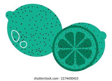 Citrus product, isolated slice of lime with sour taste. Ingredient for dishes flavoring and cocktails, desserts and refreshments. Vegetarian and vegan menu, Natural meal. Vector in flat style