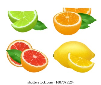 Citrus products. Lime lemon grapefruits and orange natural healthy fruits vector food realistic picture