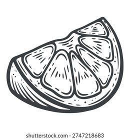 Citrus quarter slice, cut piece, orange segment, lemon, grapefruit, mandarin, black and white illustration, engraving isolated	