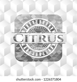 Citrus realistic grey emblem with cube white background