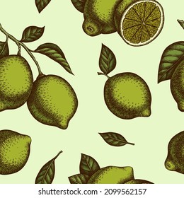 Citrus seamless pattern background design. Engraved style. Hand drawn lime.