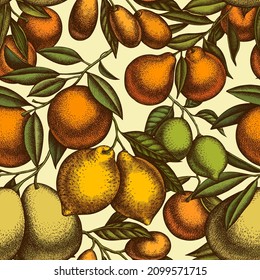 Citrus seamless pattern background design. Engraved style. Hand drawn kumquat, lemon, tangelo, orange, lime, mandarin, pomelo.