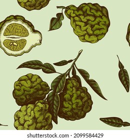 Citrus seamless pattern background design. Engraved style. Hand drawn bergamot.