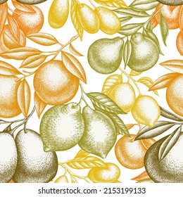 Citrus seamless pattern background design. Engraved style. Hand drawn kumquat, lemon, tangelo, etc.