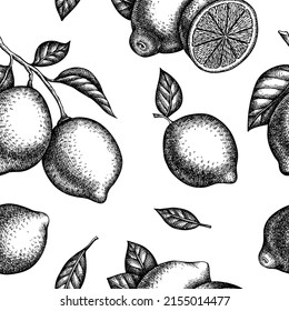 Citrus seamless pattern background design. Engraved style. Hand drawn lime.