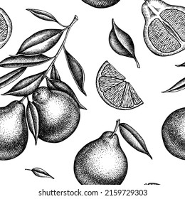 Citrus seamless pattern background design. Engraved style. Hand drawn tangelo.