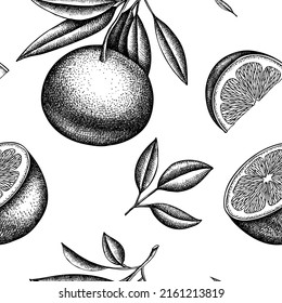 Citrus Seamless Pattern Background Design. Engraved Style. Hand Drawn Grapefruit.