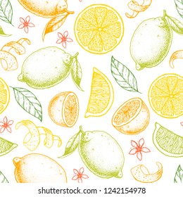 Citrus seamless pattern. Hand drawn vector illustration. Lemon and orange sketch background. Vintage design template.
