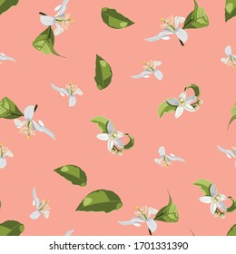 Citrus seamless pattern with leaves and flowers isolated on pink background. Best for print, textile, wrapping paper.	