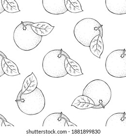 Citrus seamless pattern. Whole round fruit with twig and leaf in the skin. Mandarin lemon orange grapefruit lime. Hand drawn doodle outline black sketch. Stock vector illustration on white background.