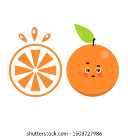 citrus set collection orange fruit white background