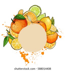 Citrus. Set of fruit. Fresh food. Lemons, oranges, mandarin, pomelo, lime.  Vector illustration.