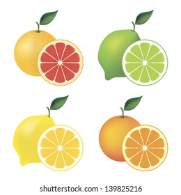 Citrus set of grapefruit, lime, lemon and orange. Vector illustration.