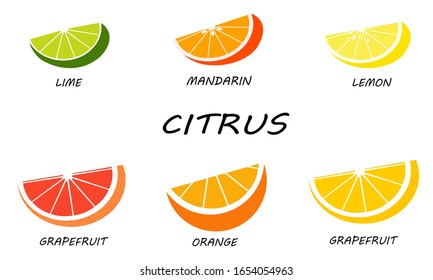 Citrus set isolated on white background. Fresh and juicy slices of citruses. Illustration fruit with flat design.