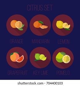 Citrus set with orange lemon lime grapefruit mandarin and pumello