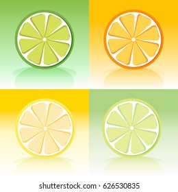 Citrus. Set slices of lemon, orange, lime, grapefruit. Vector