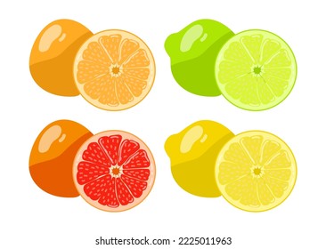 Juego de cítricos. Ilustraciones vectoriales de frutos enteros y cortados a la mitad. Pomelo fresco maduro, naranja, limón y lima de jardín tropical aislado en blanco. Ingrediente alimentario, concepto de vitamina
