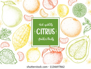 Citrus sketch collection. Hand drawn vector illustration. Organic food frame, citrus design template. Engraving illustration. Vintage citrus set.
