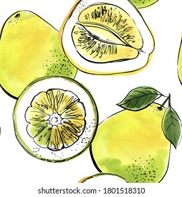 Zitrusskizze-Muster. Zeichnen in Farben und Aquarellen auf weißem Hintergrund. Pomelo