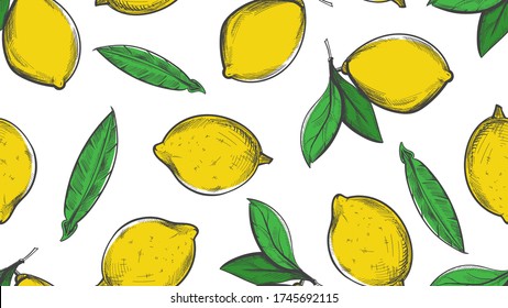 Patrón de esbozo de cítricos. Fondo de limón de verano. Textura cilítrica de hueso vintage botánico sin costura. Frutas vectoriales y fondo de hojas verdes