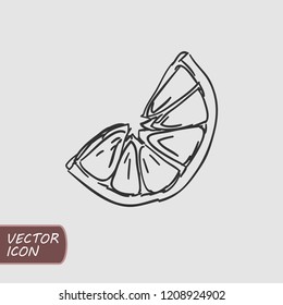 Citrus slice hand drawn doodle logo. Flat icon. Vector illustration.