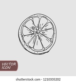 Citrus slice hand drawn doodle logo. Flat icon. Vector illustration.