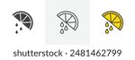 Citrus slice icon symbol collection on white background.
