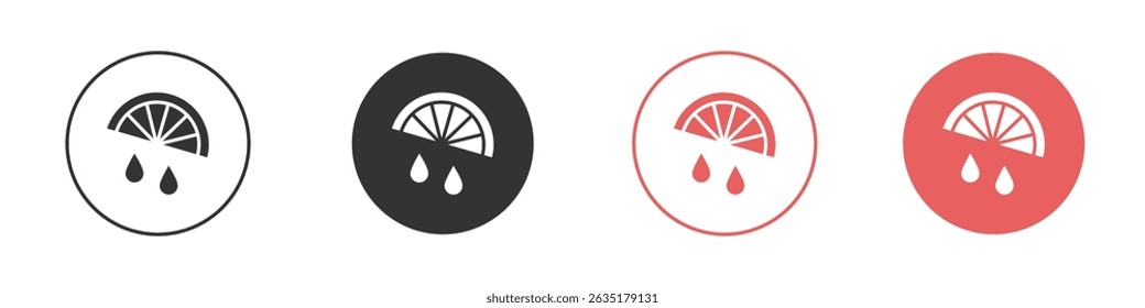 Citrus slice icon vector design template simple and clean style