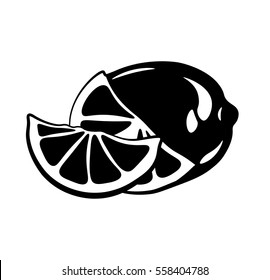 Citrus slice. Lemon, lime. Vector illustration isolated on white background