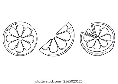 citrus slice line drawing. continuous line art citrus