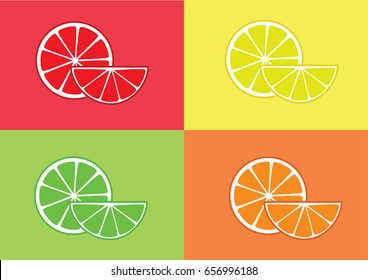 Citrus slice on colorful background.illustration vector.