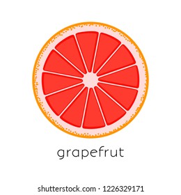 Citrus slice. Piece of citrus fruit (grapefruit) on white background. Vector illustration.