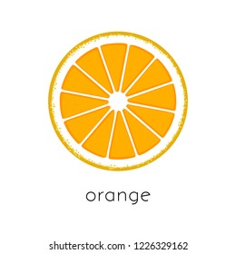 Citrus slice. Piece of citrus fruit (orange) on white background. Vector illustration.