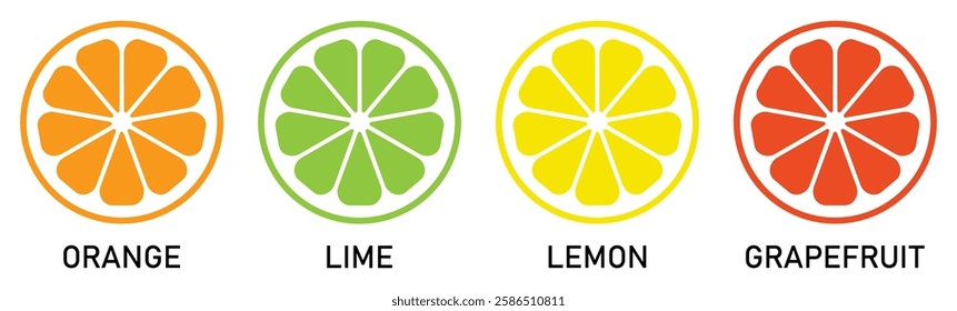 Citrus slice vector set. Lemon, orange, lime and grapefruit slice. Slice fruit citrus collection. Colored and flat style. Isolated vector illustration.