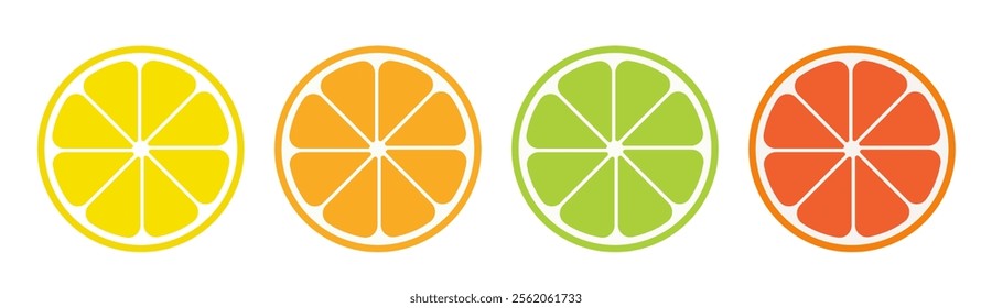 Citrus slices. Citrus fruits orange, lemon, lime, grapefruit icons. Vector illustration.